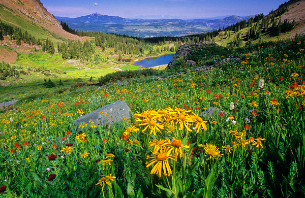 Gold King Basin