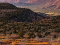 Castle Tower and Autumn Oaks, Utah