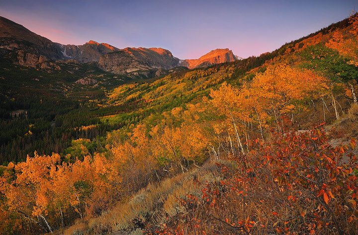 Hallett Peak rises over the Bierstadt Moraine