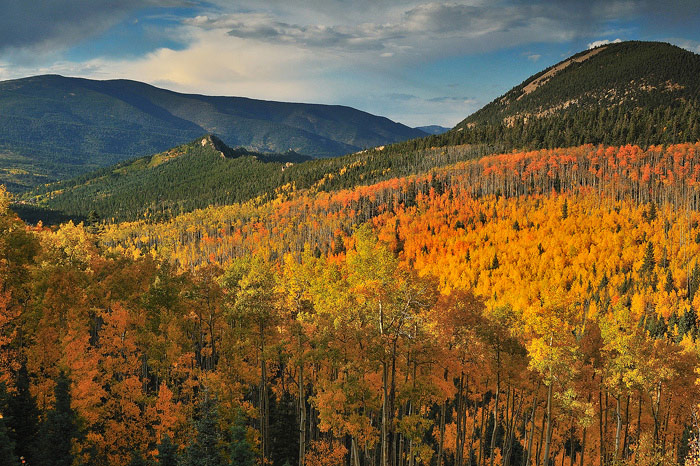 Near Cuchara Pass in the Spanish Peaks