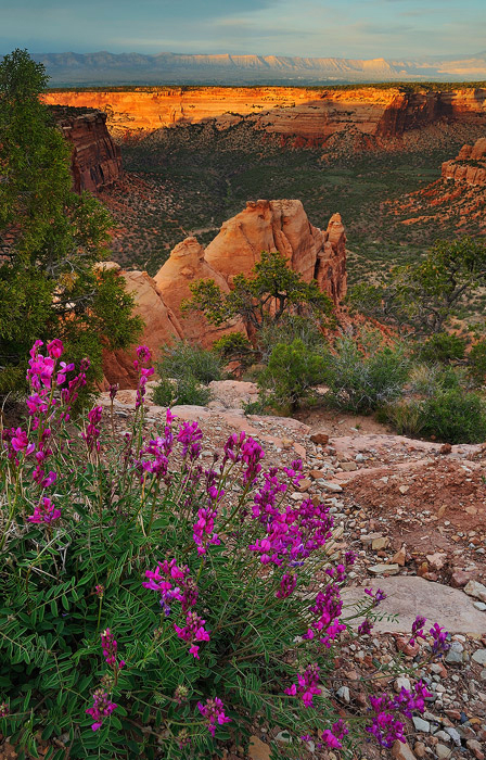 Monumental Colorado